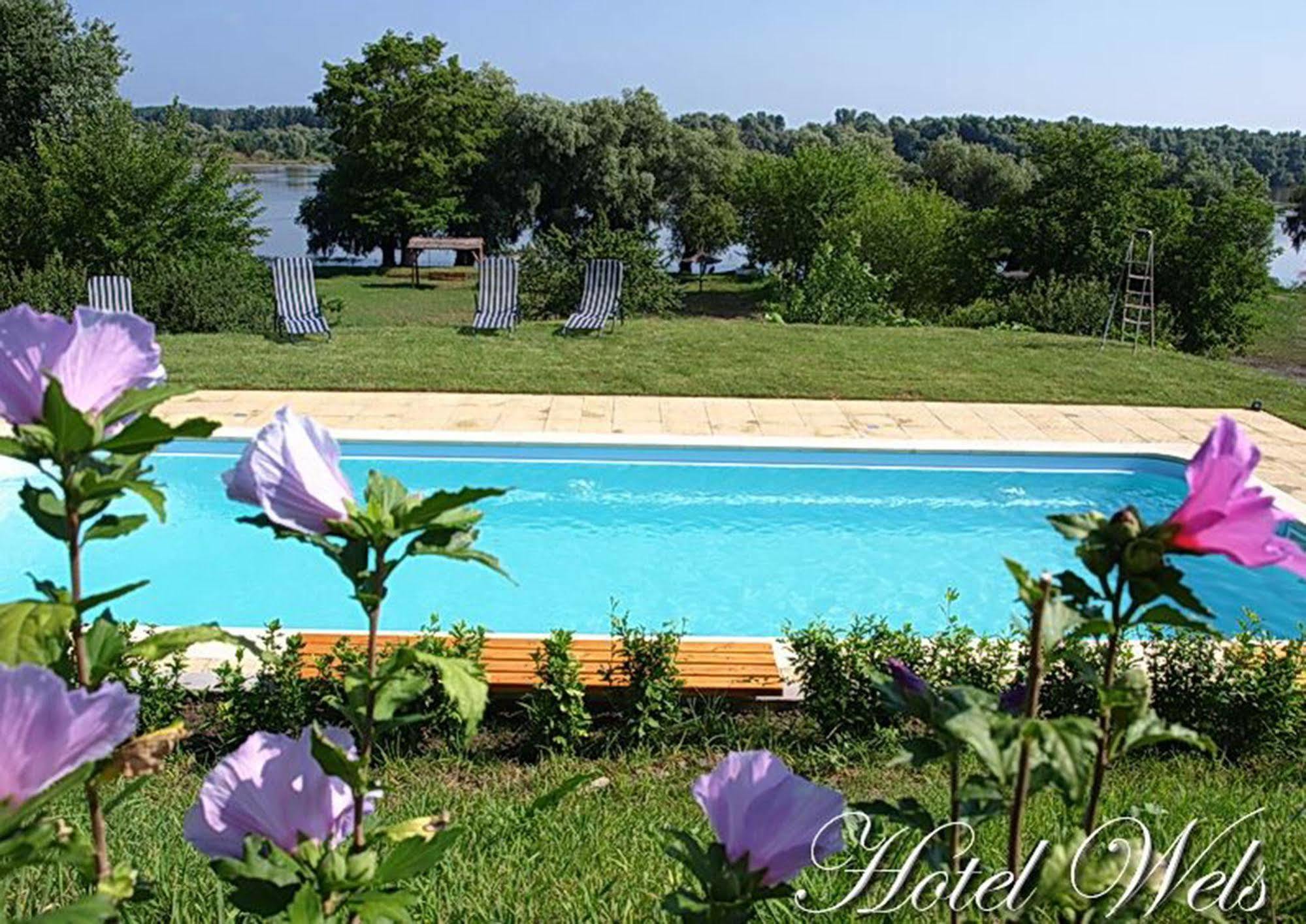 Hotel Wels Baltenii de Sus ภายนอก รูปภาพ